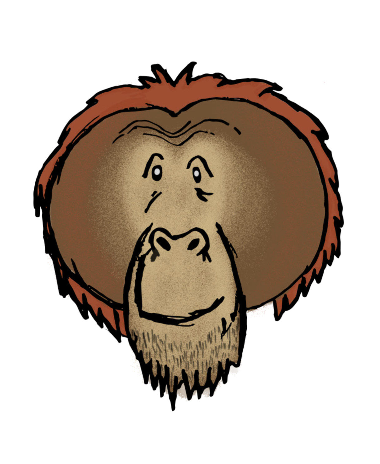 orangutan