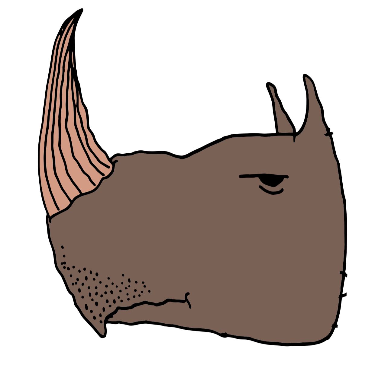 rhino